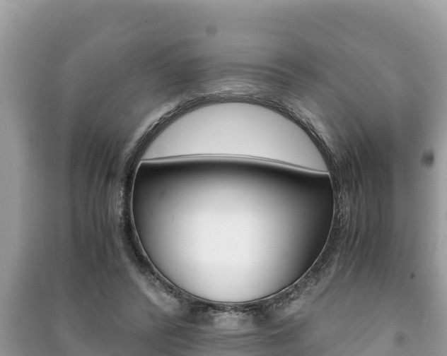 X0000091220400200708091142