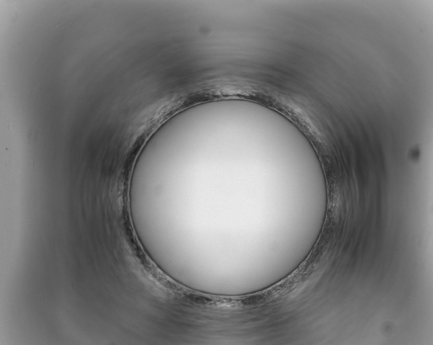 X0000091220402200708091142