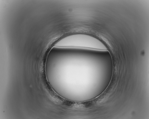 X0000091220403200708091142