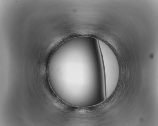 X0000091220407200708091142