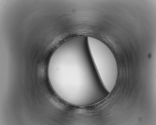 X0000091220408200708091142