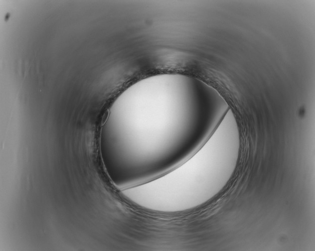 X0000091220416200708091141