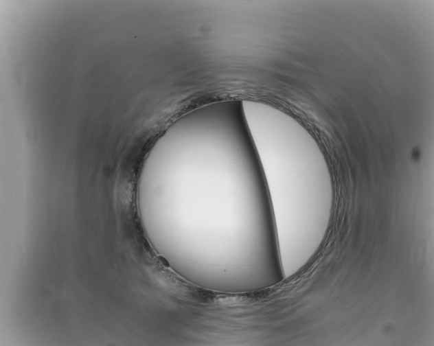 X0000091220417200708091141