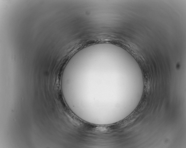 X0000091220418200708091141