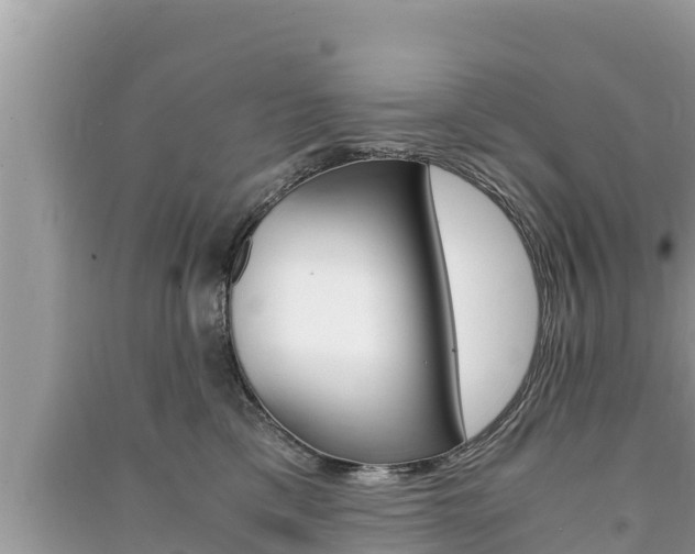 X0000091220425200708091141