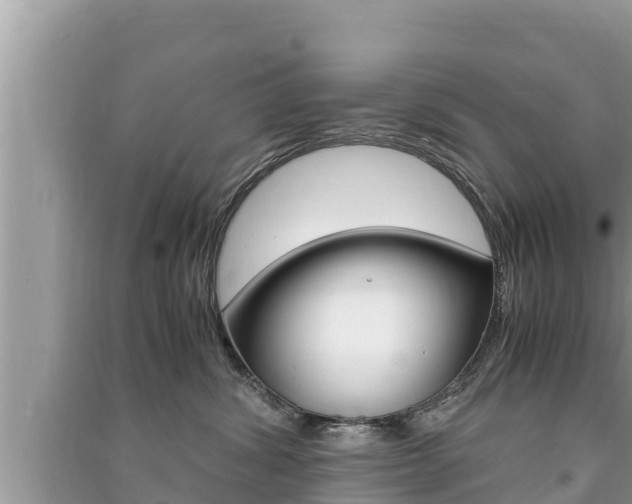 X0000091220428200708091141