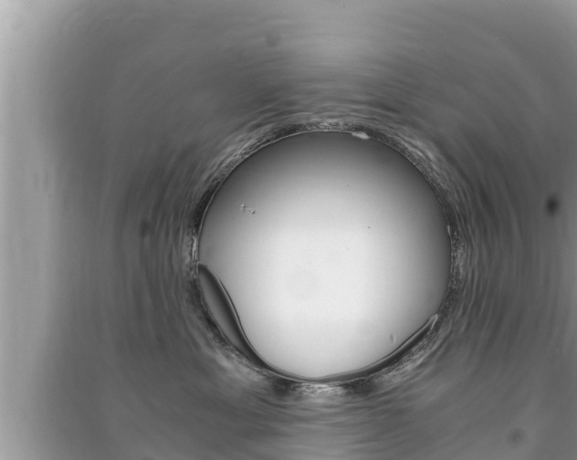 X0000091220429200708091141
