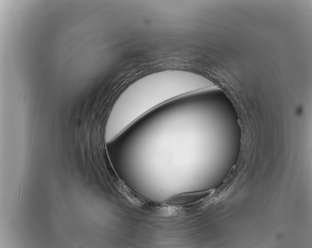 X0000091220432200708091141