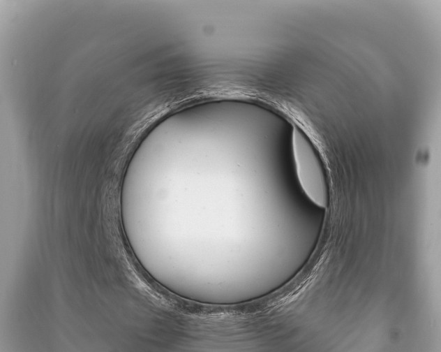 X0000091220433200708091140