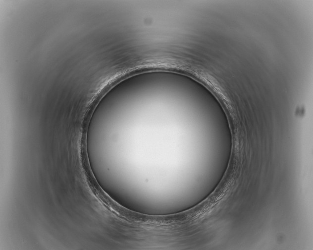 X0000091220434200708091140