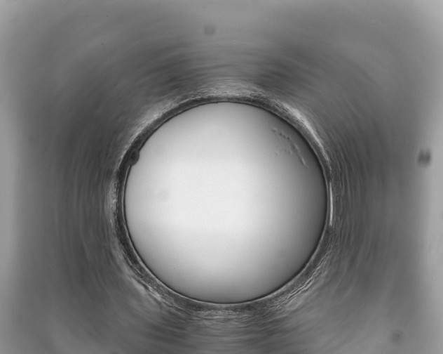 X0000091220435200708091140