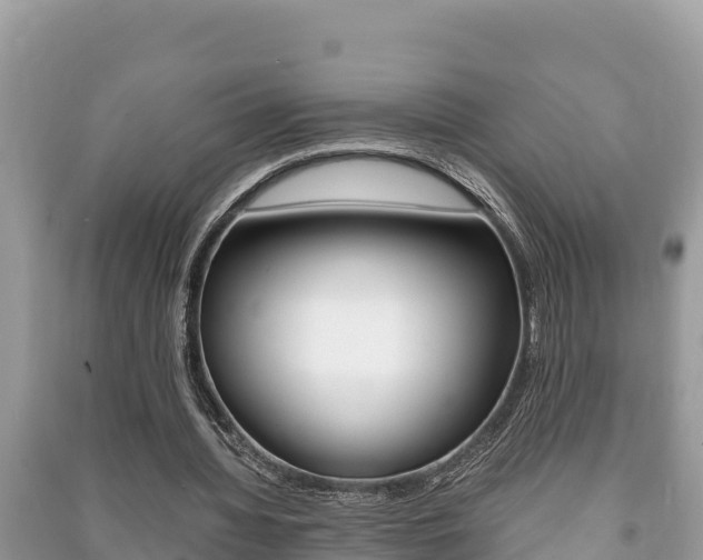 X0000091220436200708091140