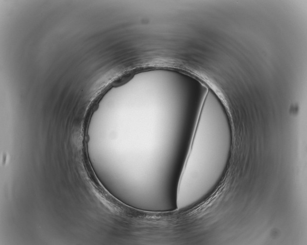 X0000091220437200708091141