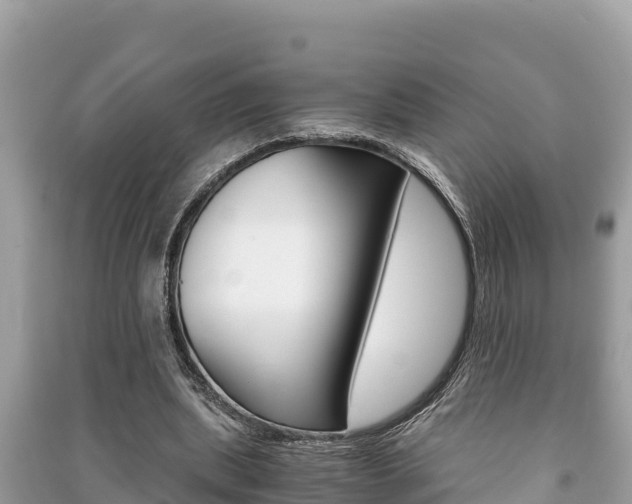 X0000091220439200708091141