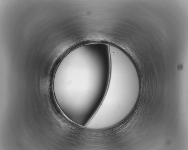 X0000091220440200708091141
