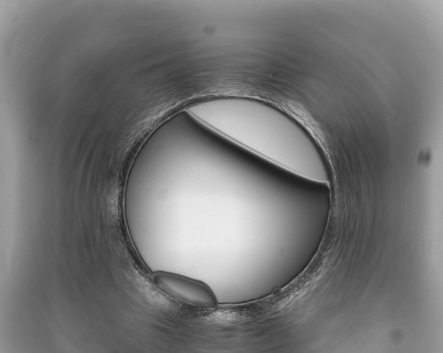 X0000091220441200708091141