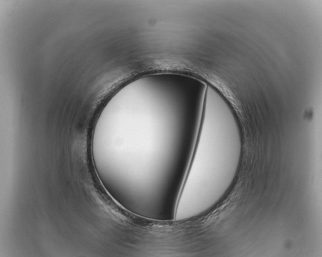 X0000091220442200708091141