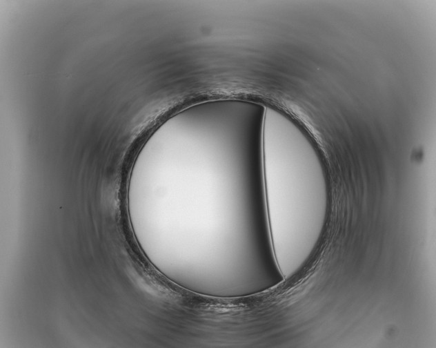 X0000091220443200708091141