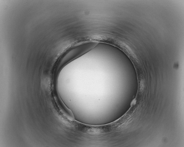 X0000091220444200708091141