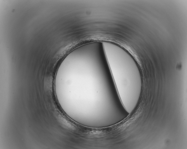 X0000091220445200708091141