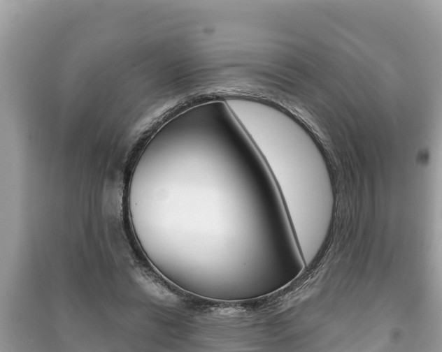 X0000091220446200708091141