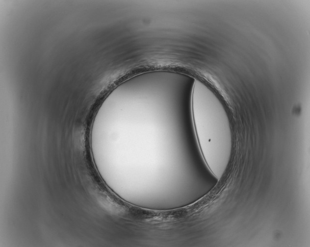 X0000091220447200708091141