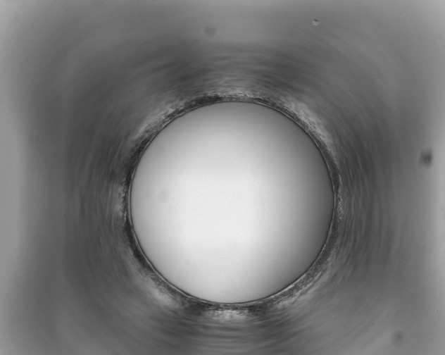 X0000091220449200708091141