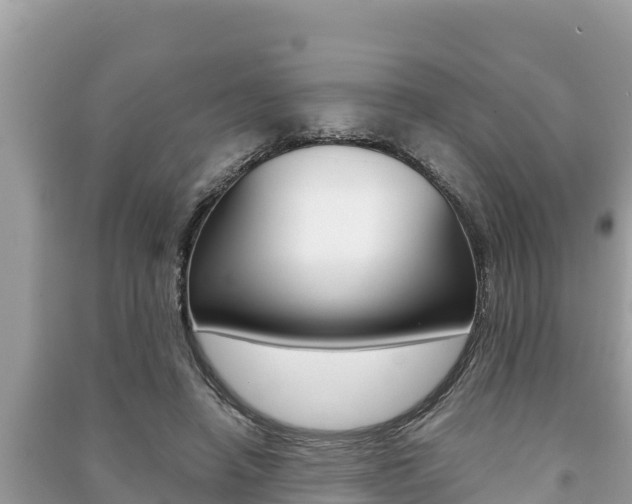 X0000091220450200708091141
