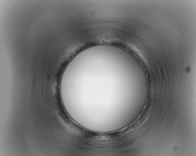 X0000091220451200708091141
