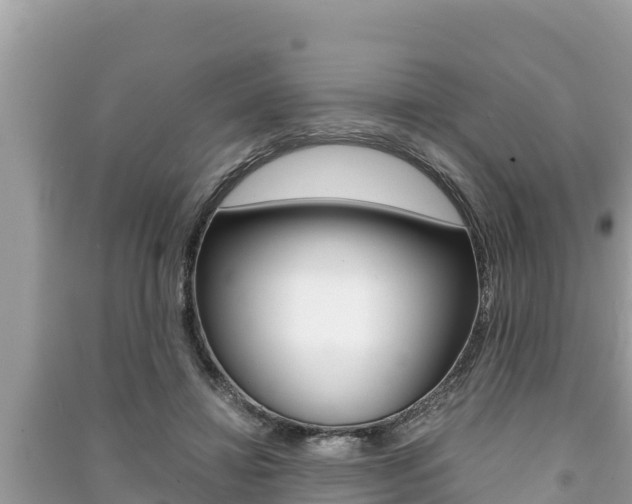 X0000091220452200708091141