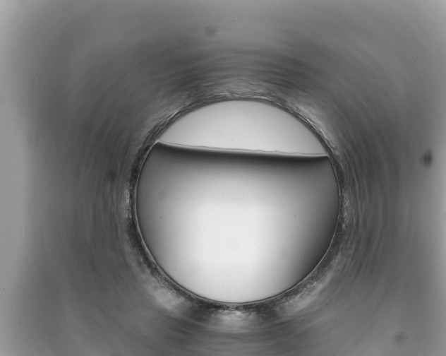 X0000091220453200708091141