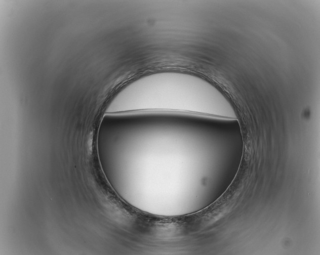 X0000091220454200708091141