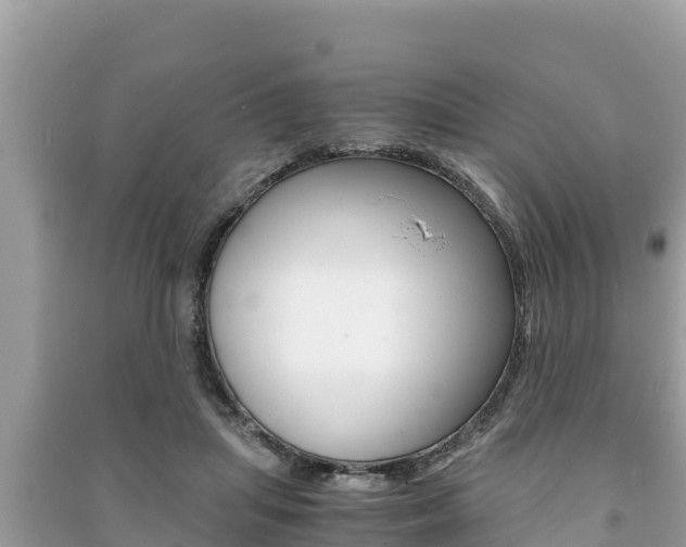X0000091220455200708091141