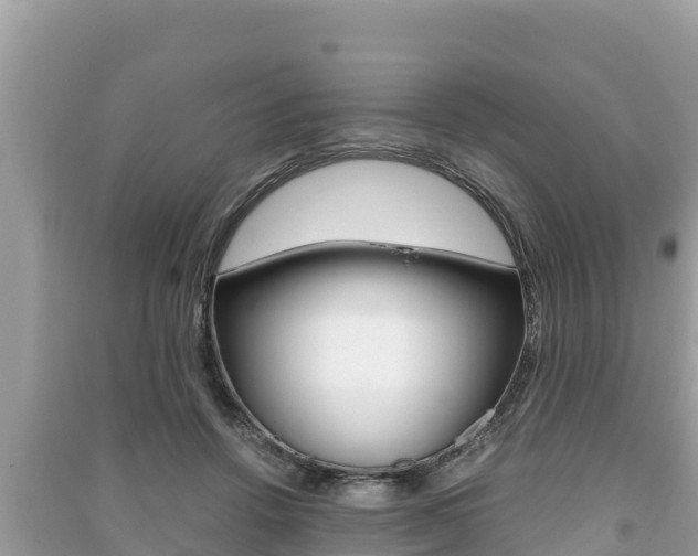 X0000091220456200708091141