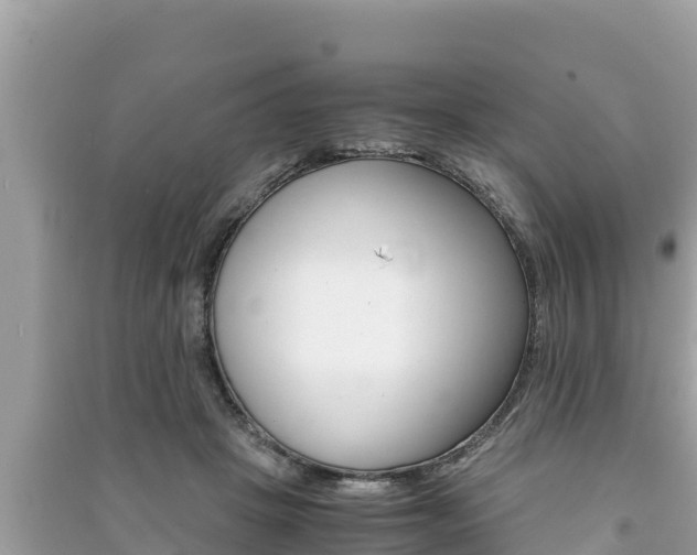 X0000091220457200708091141