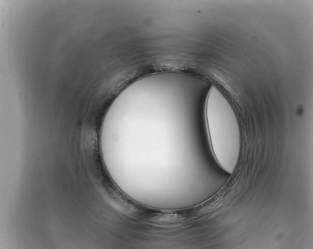 X0000091220459200708091141