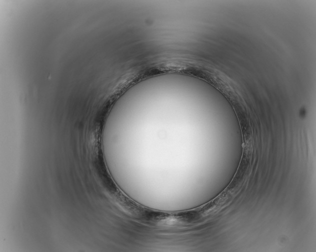 X0000091220460200708091141