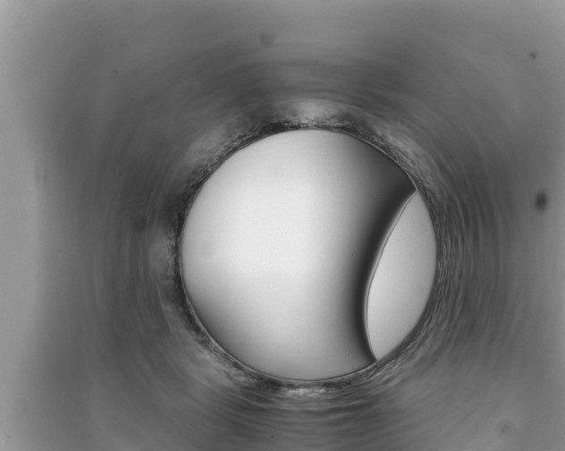 X0000091220461200708091141