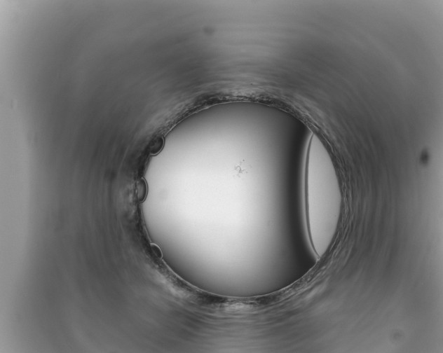 X0000091220462200708091141