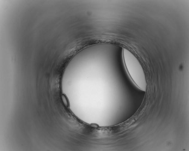 X0000091220466200708091141
