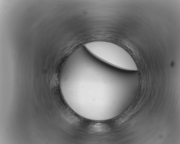 X0000091220467200708091141
