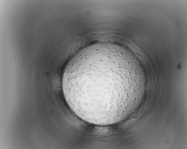 X0000091220469200708091141