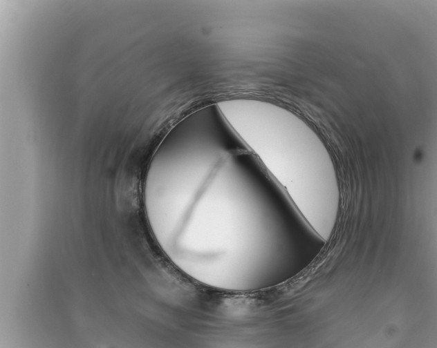 X0000091220470200708091141
