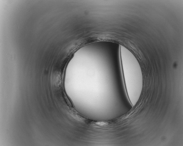 X0000091220478200708091141