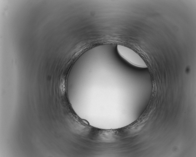 X0000091220479200708091141