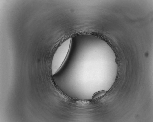 X0000091220480200708091141