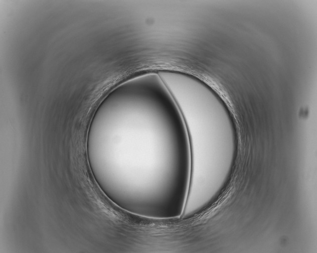 X0000091220481200708091140