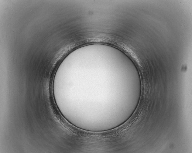 X0000091220482200708091140