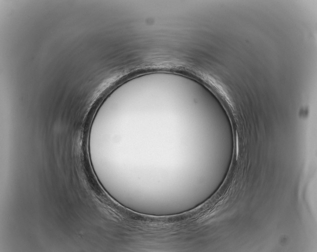 X0000091220483200708091140