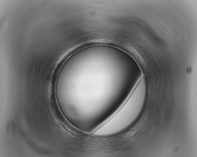 X0000091220484200708091140